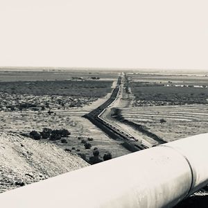 Meet your Posher, Cole